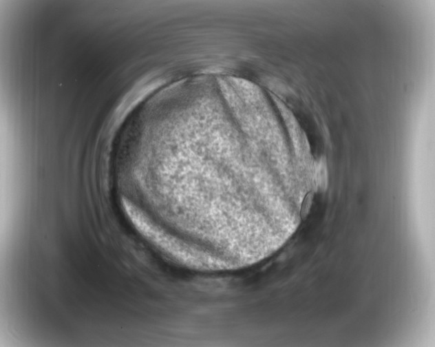 X0000086030291200704091137