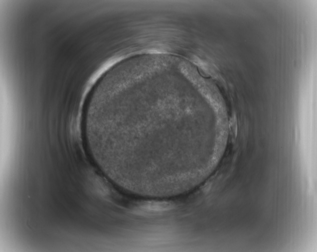 X0000086030292200704091137