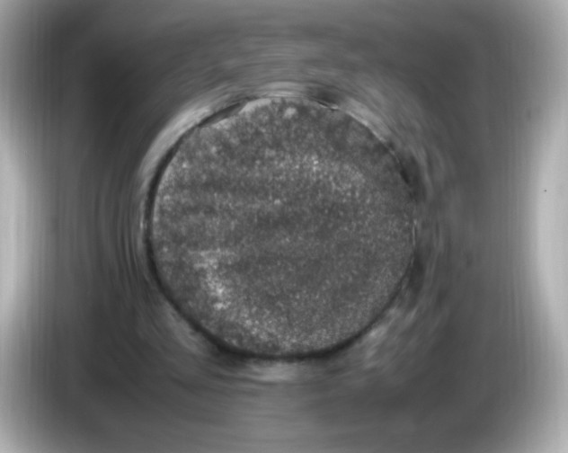 X0000086030293200704091137