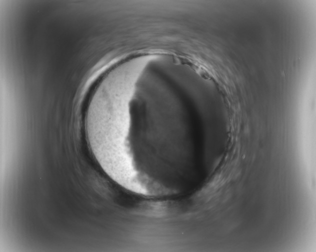 X0000086030295200704091137