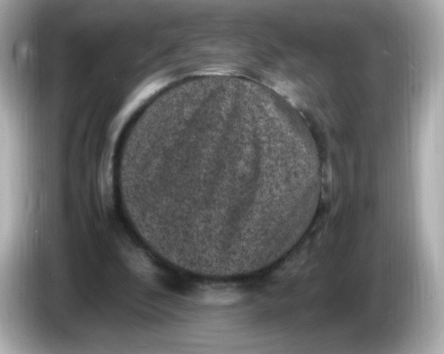 X0000086030296200704091137