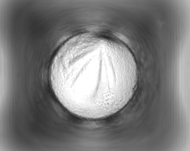 X0000086030297200704091137