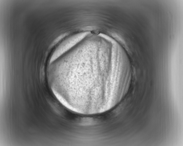 X0000086030298200704091137