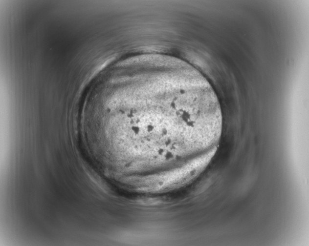 X0000086030299200704091137