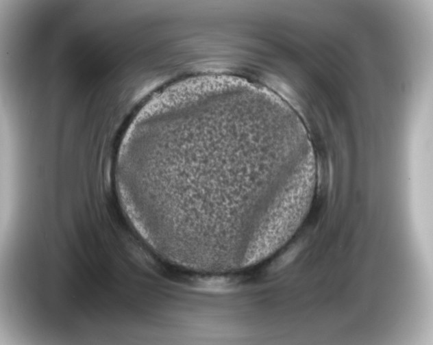 X0000086030301200704091137