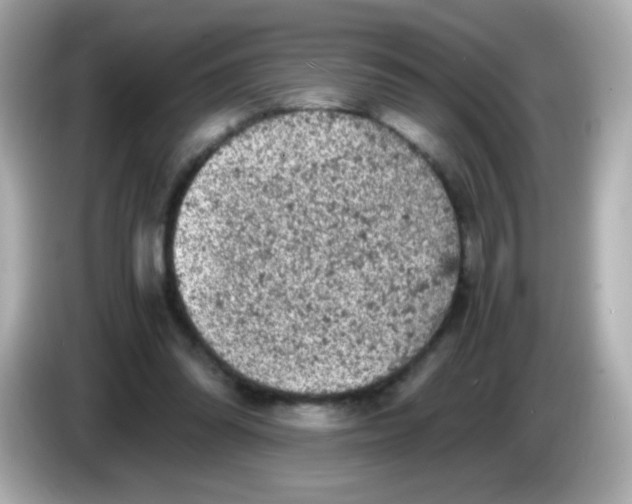 X0000086030302200704091137