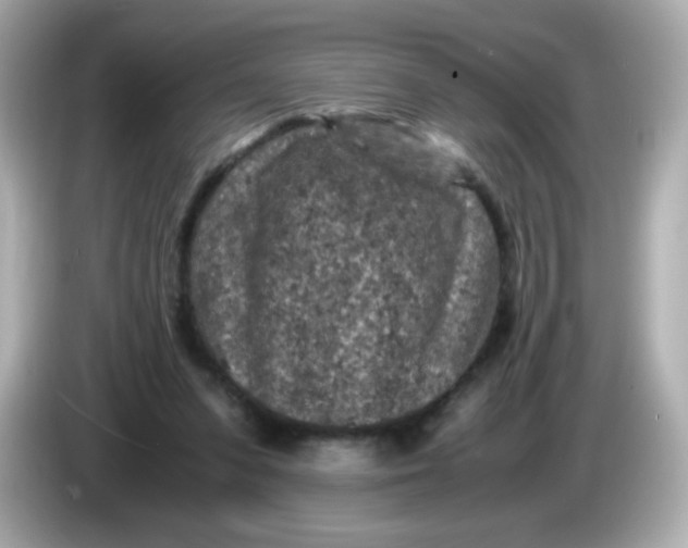 X0000086030303200704091137