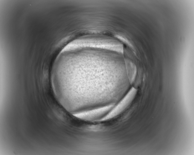 X0000086030306200704091137