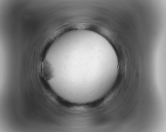 X0000086030307200704091137