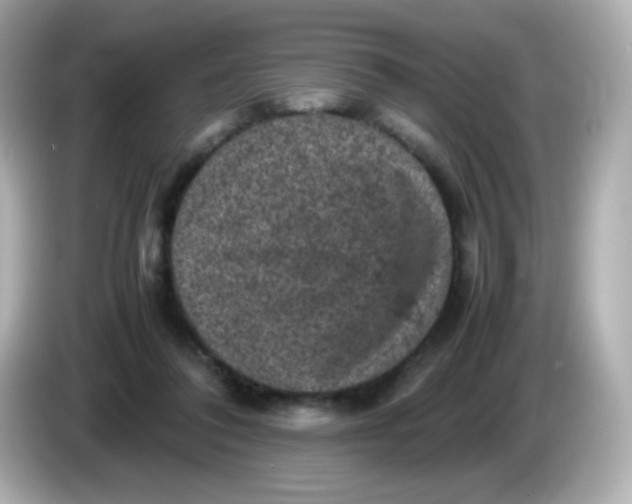 X0000086030308200704091137