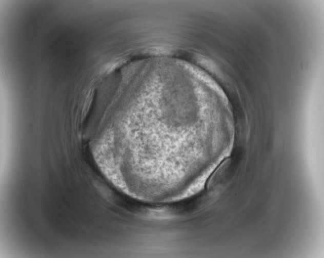 X0000086030309200704091137