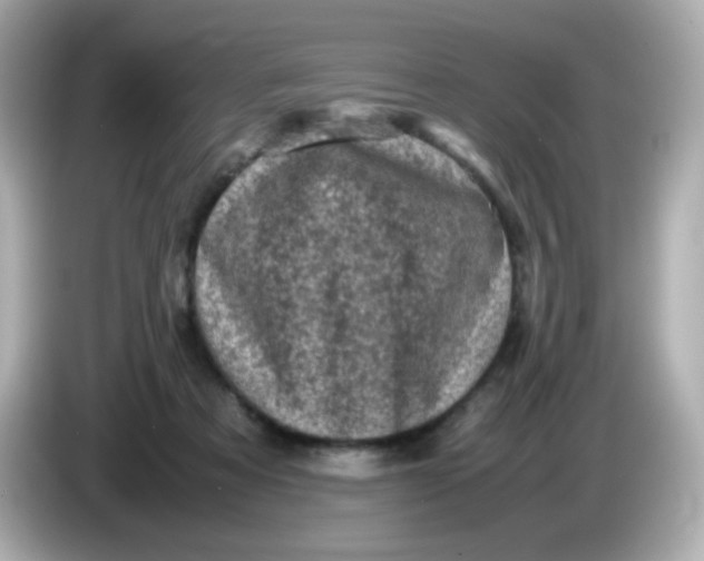 X0000086030313200704091137