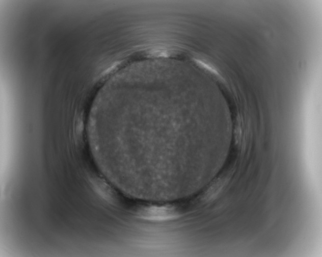 X0000086030314200704091137