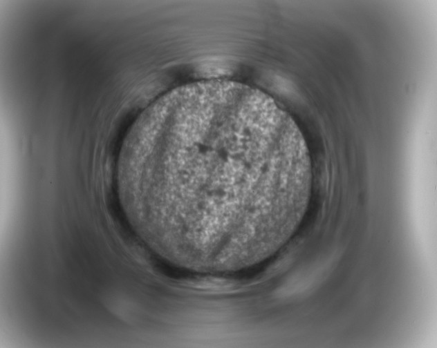 X0000086030315200704091137