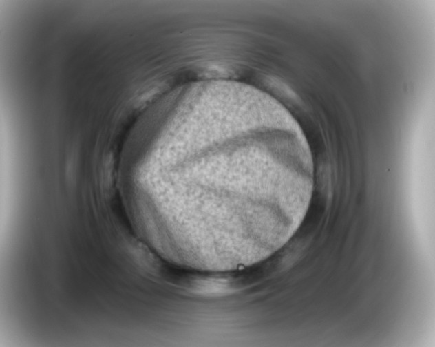 X0000086030318200704091137