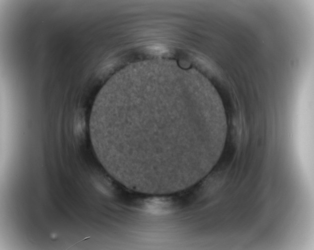 X0000086030320200704091137