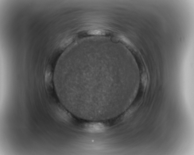 X0000086030322200704091137