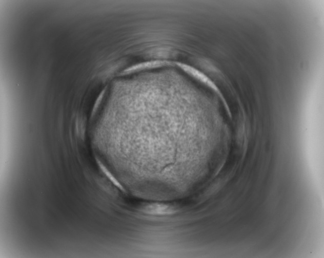 X0000086030326200704091137