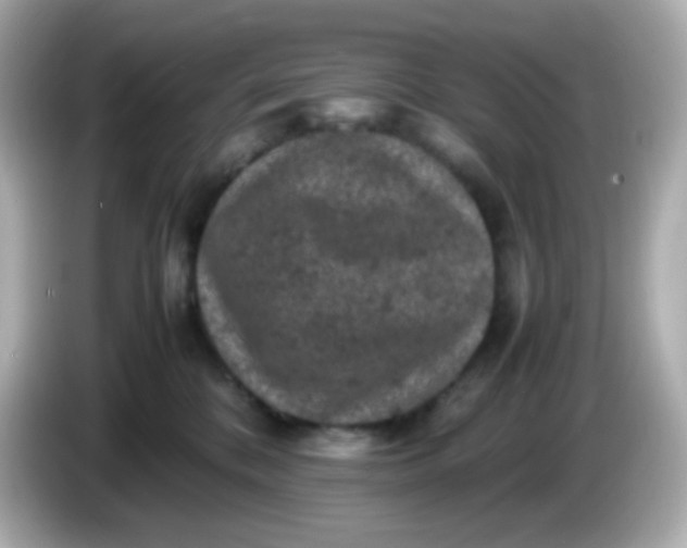 X0000086030328200704091137