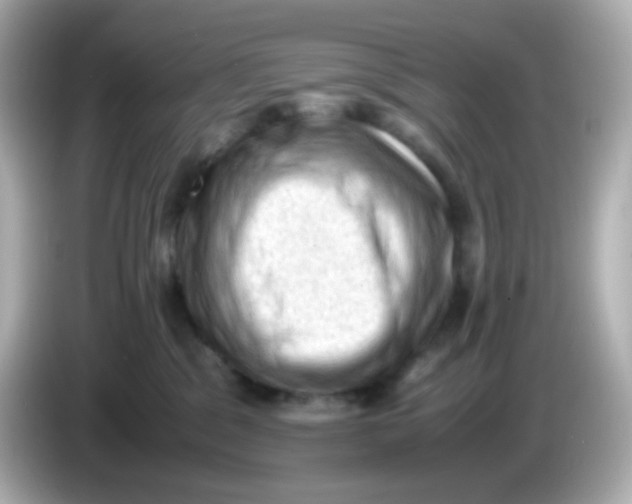 X0000086030329200704091137