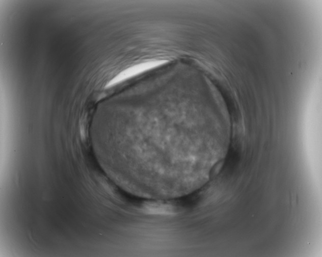 X0000086030331200704091137