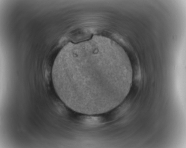 X0000086030332200704091137