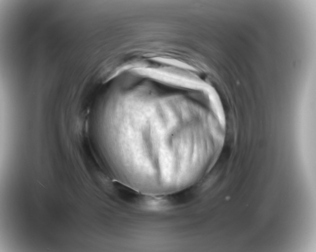 X0000086030333200704091137