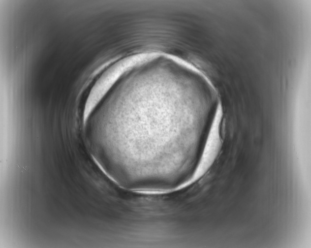 X0000086030338200704091136