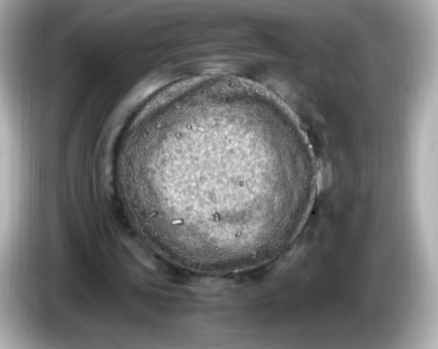 X0000086030339200704091136