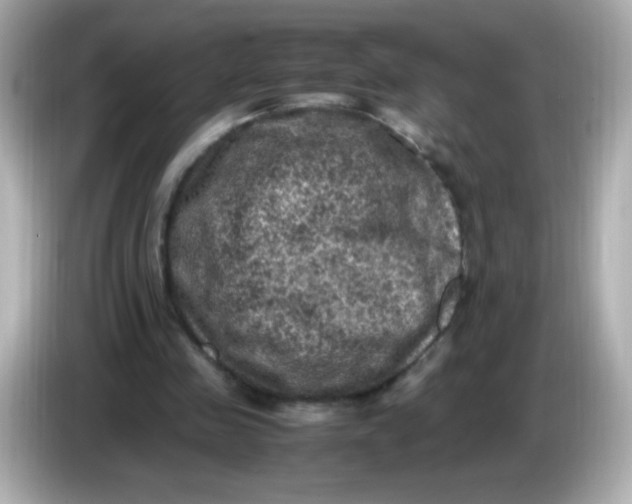 X0000086030341200704091136