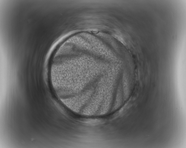 X0000086030342200704091136