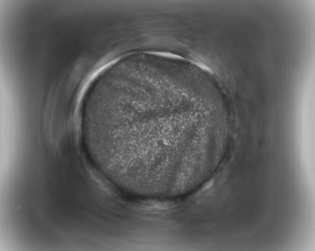 X0000086030343200704091136