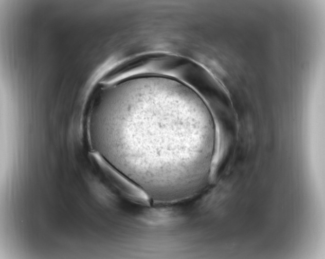 X0000086030344200704091136