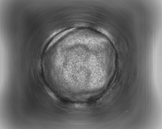 X0000086030345200704091136