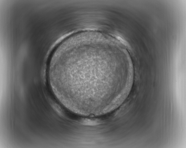 X0000086030346200704091136