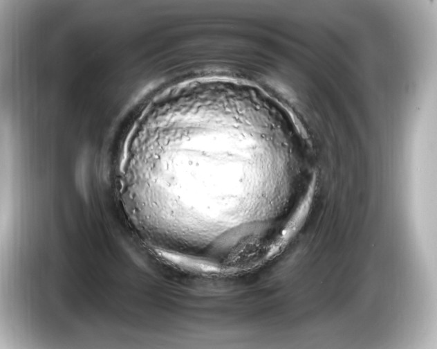 X0000086030347200704091136