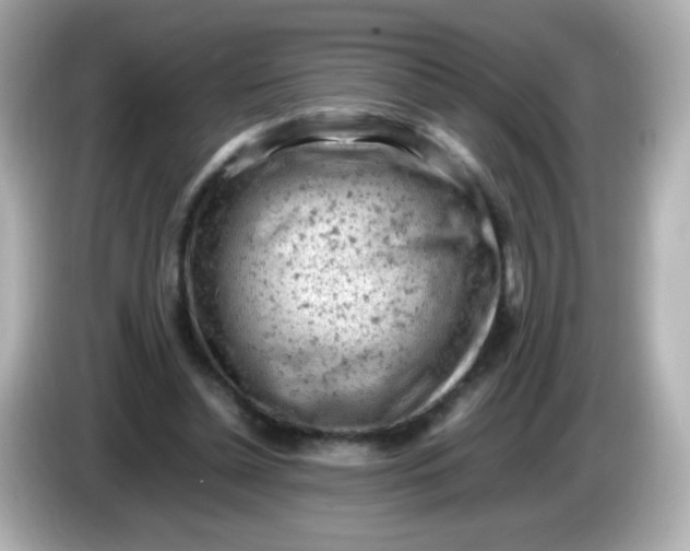 X0000086030348200704091136