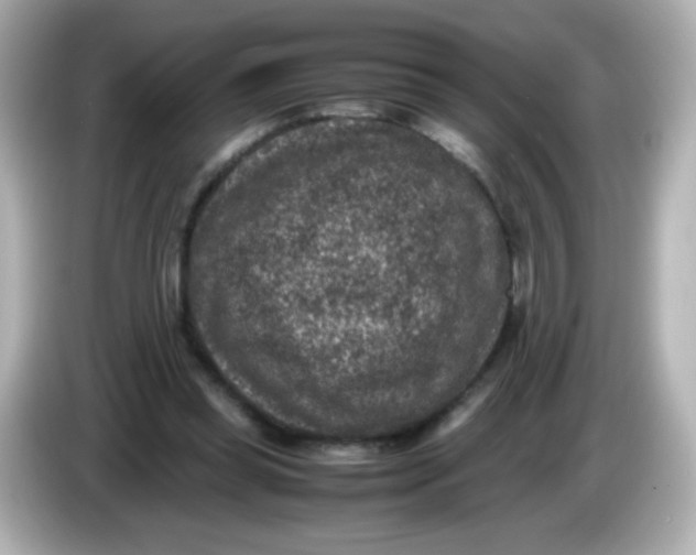 X0000086030349200704091136