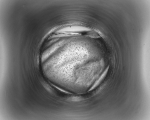 X0000086030350200704091136