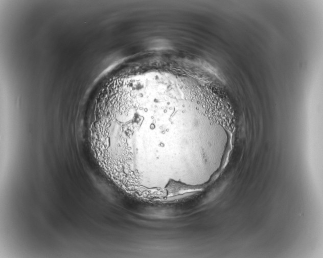 X0000086030351200704091136