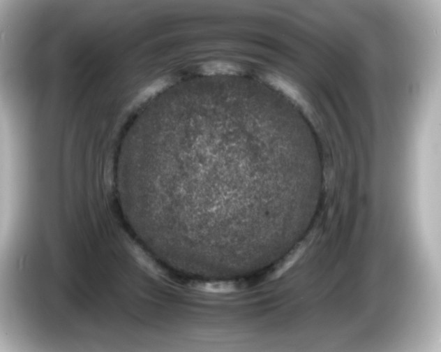 X0000086030353200704091136