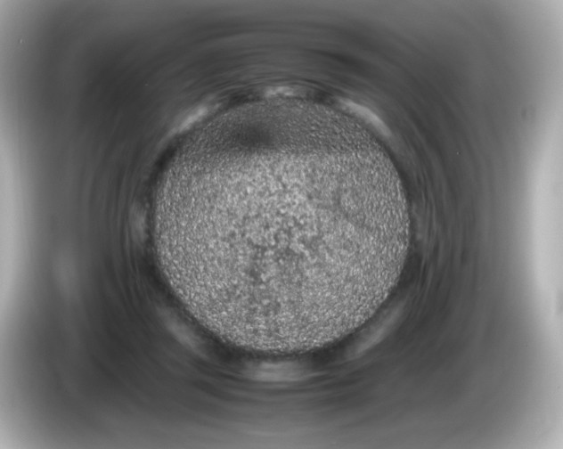 X0000086030357200704091136