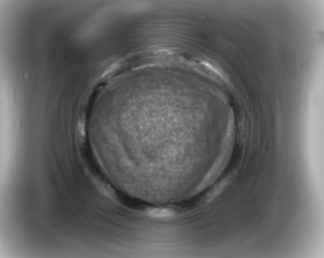 X0000086030358200704091136