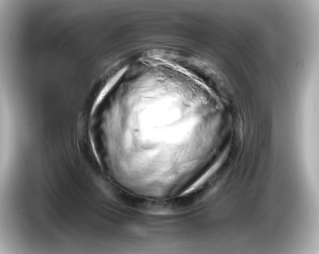 X0000086030359200704091136