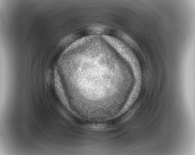 X0000086030361200704091136