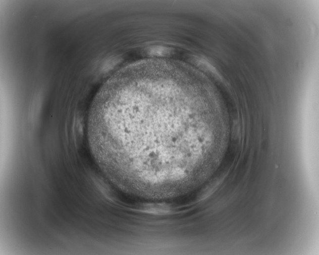 X0000086030363200704091137