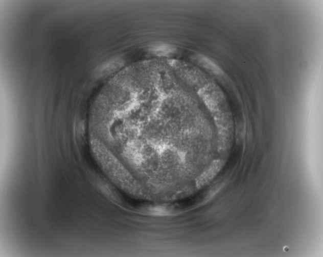 X0000086030365200704091137