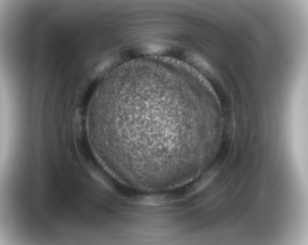 X0000086030366200704091137