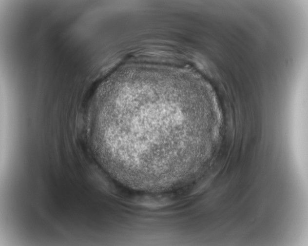 X0000086030367200704091137