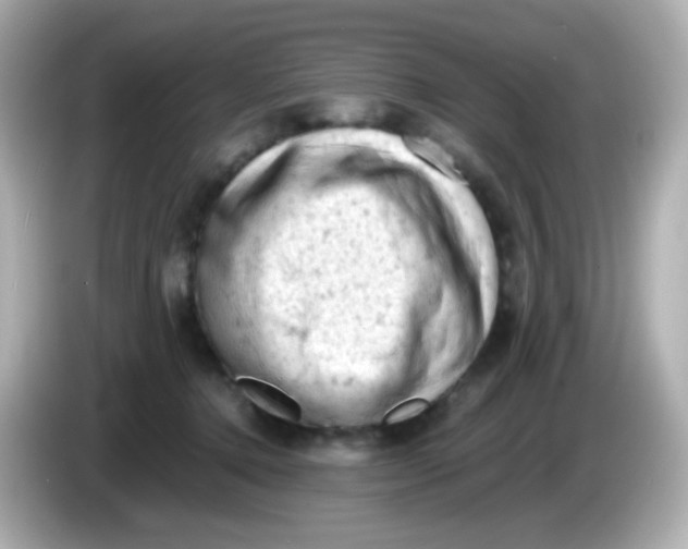 X0000086030368200704091137